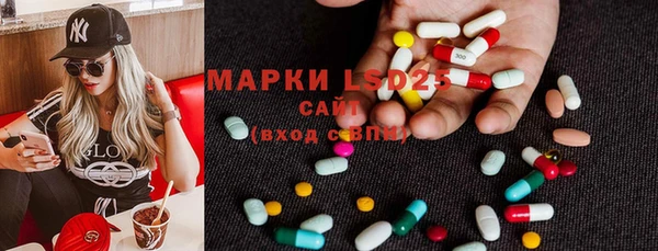 прущие грибы Алексин