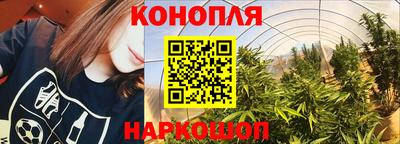 индика Гусиноозёрск