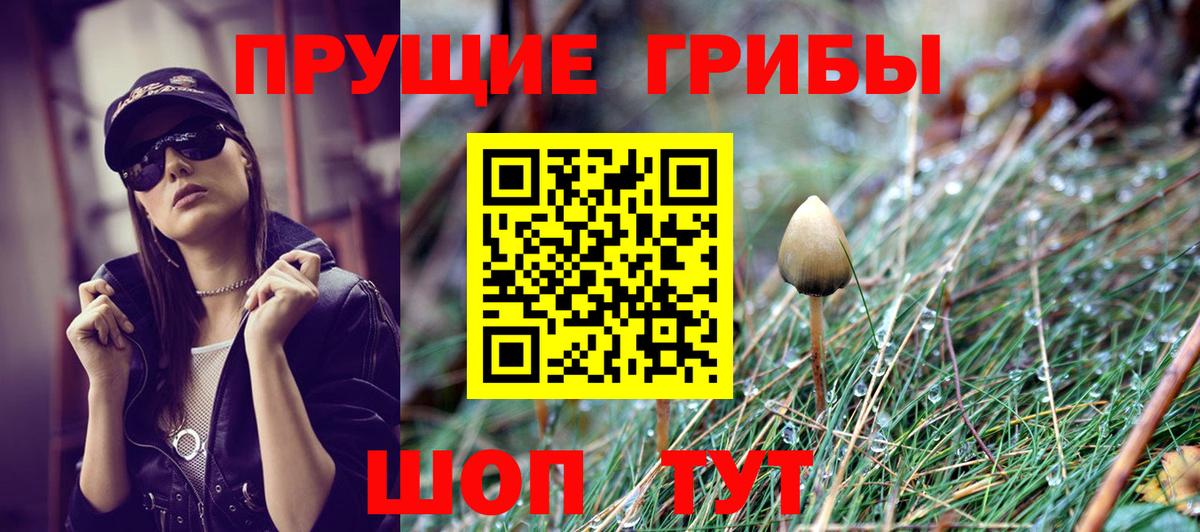 Псилоцибиновые грибы MAGIC MUSHROOMS  Псилоцибиновые грибы MAGIC MUSHROOMS  Арсеньев  Вход с VPN 