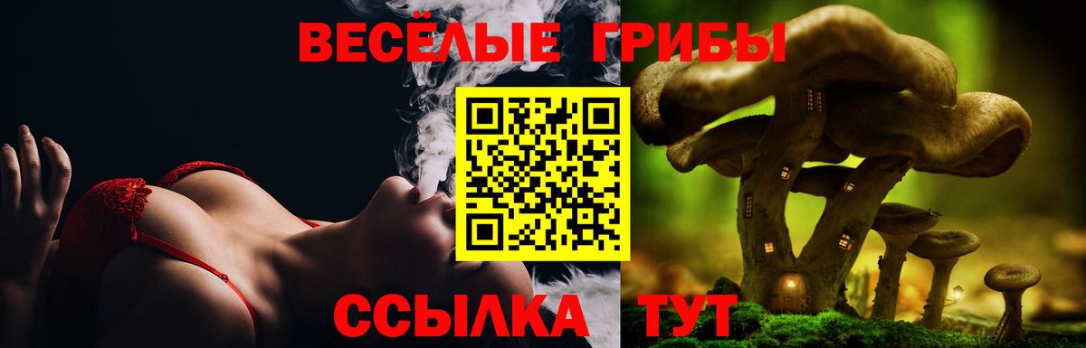 Галлюциногенные грибы Cubensis Арсеньев